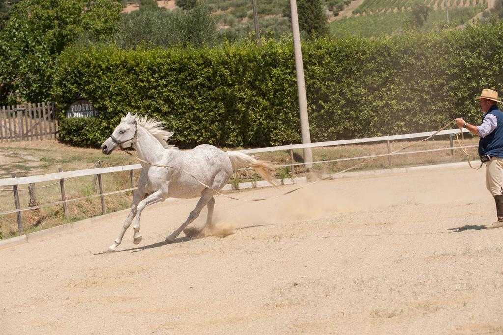 Podere Il Poggiolo Pontassieve Εξωτερικό φωτογραφία
