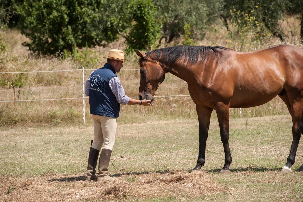 Podere Il Poggiolo Pontassieve Εξωτερικό φωτογραφία