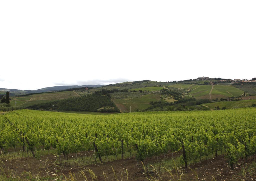 Podere Il Poggiolo Pontassieve Εξωτερικό φωτογραφία