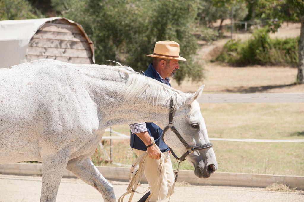 Podere Il Poggiolo Pontassieve Εξωτερικό φωτογραφία